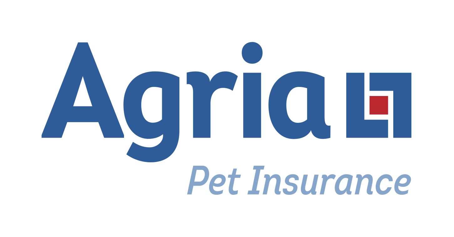 Insurance Company