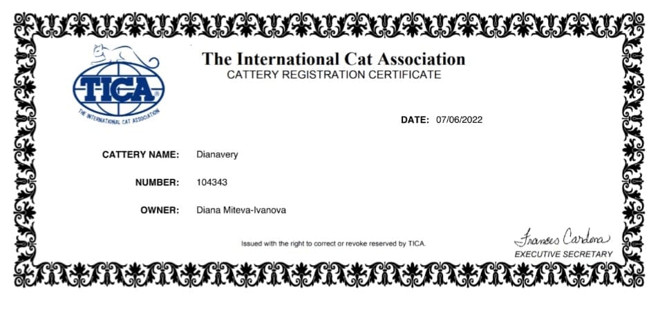 Certification 3